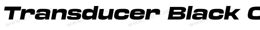 Transducer Black Con字体转换 Transducer Black Con字体转换